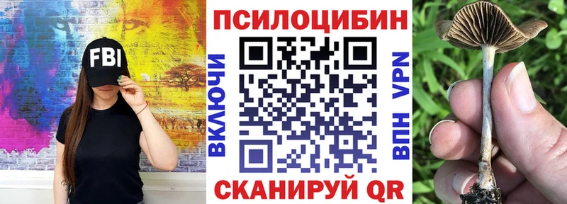 магазин  наркотиков  Мичуринск  Галлюциногенные грибы мицелий 